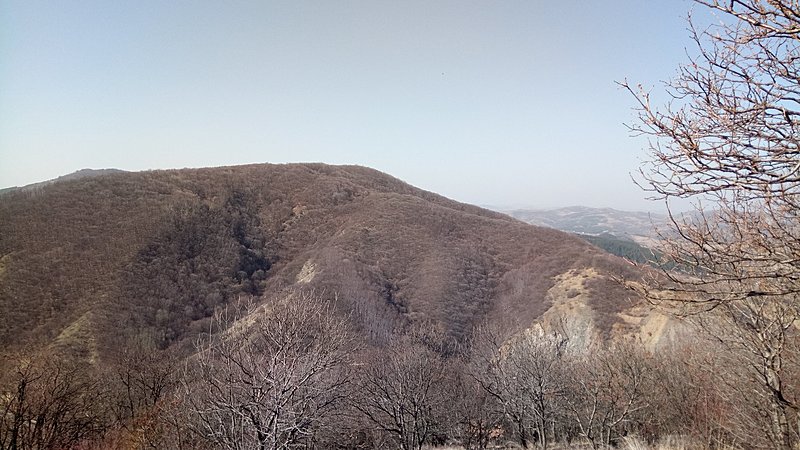 Натиснете снимката за да я уголемите  Име:IMG_20210227_121425.jpg Прегледи:0 Размер:508.5 КБ ID:6714587