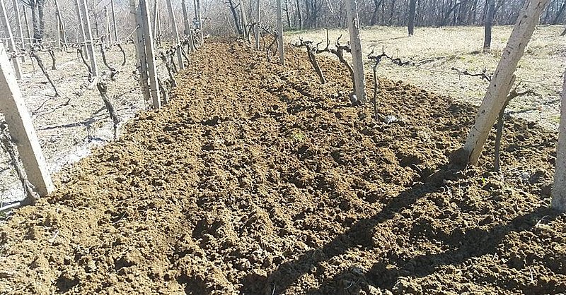 Натиснете снимката за да я уголемите

Име:157893678_486275135871187_3252816874124619488_n.jpg
Прегледи:378
Размер:179.8 КБ
ID:6718143