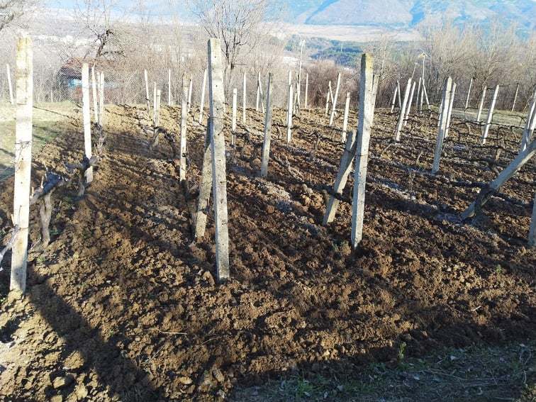 Натиснете снимката за да я уголемите

Име:158891400_921029735401483_2337483112853986328_n.jpg
Прегледи:385
Размер:109.3 КБ
ID:6718144