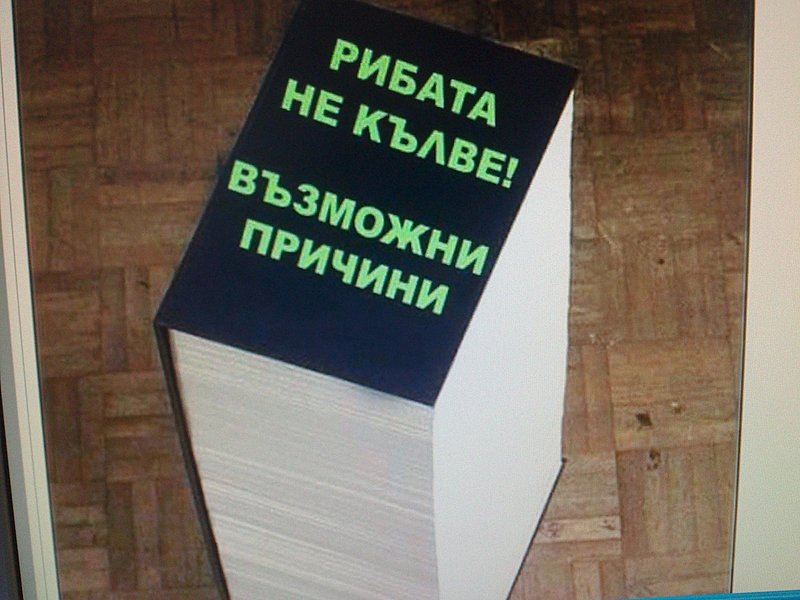 Натиснете снимката за да я уголемите

Име:DSC_6328.jpg
Прегледи:122
Размер:419.2 КБ
ID:6728052