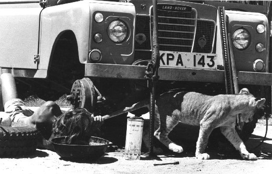 Натиснете снимката за да я уголемите

Име:Lioness_HelpingToRepairLandRover_SmCr.jpg
Прегледи:1
Размер:53.9 КБ
ID:5510041