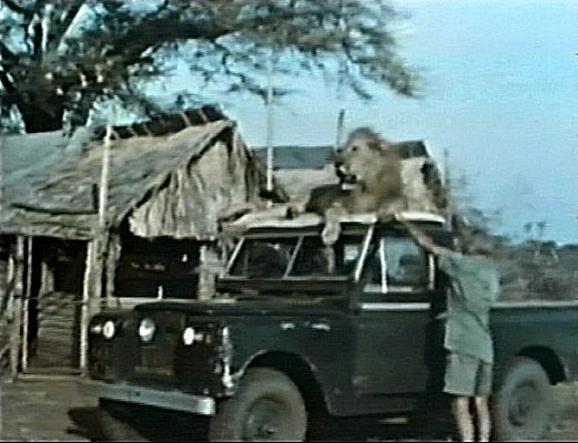Натиснете снимката за да я уголемите

Име:Boy_OnLandRover_GeorgeHoldingPaw_LAF_005_Cr.jpg
Прегледи:1
Размер:49.7 КБ
ID:5510051