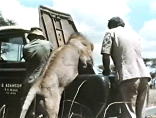 Натиснете снимката за да я уголемите

Име:Ugas_HelpingGeorgeAndBillWithLandRover_LAF_01_Cr.jpg
Прегледи:1
Размер:35.1 КБ
ID:5510053
