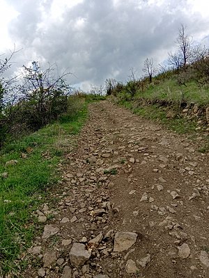 Натиснете снимката за да я уголемите  Име:IMG_20210504_172430.jpg Прегледи:0 Размер:944.7 КБ ID:6738603