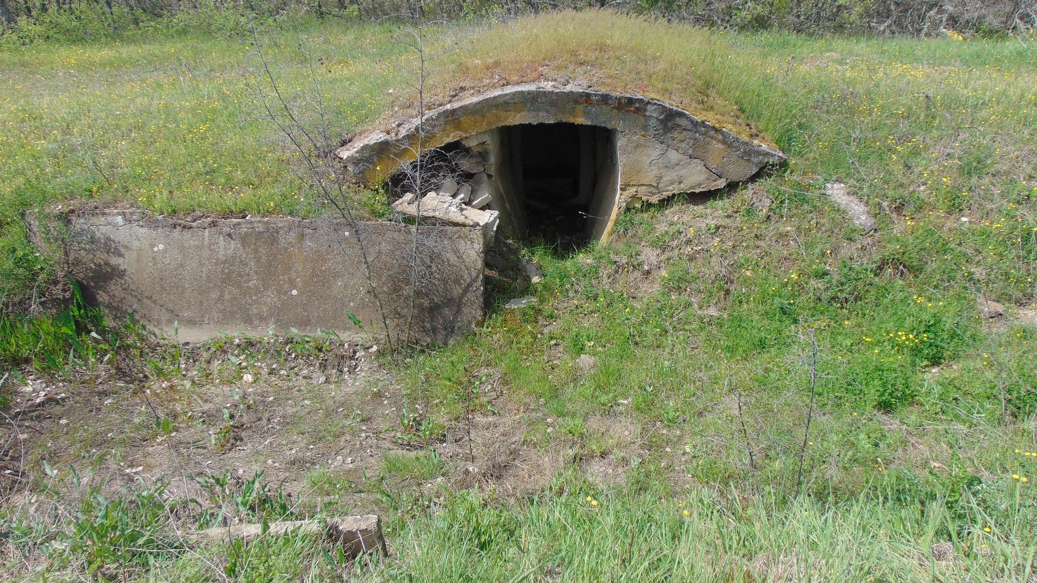 Натиснете снимката за да я уголемите

Име:DSC04824.JPG
Прегледи:914
Размер:934.2 КБ
ID:6738616