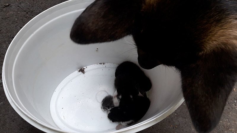 Натиснете снимката за да я уголемите

Име:м.jpg
Прегледи:309
Размер:63.7 КБ
ID:6741027