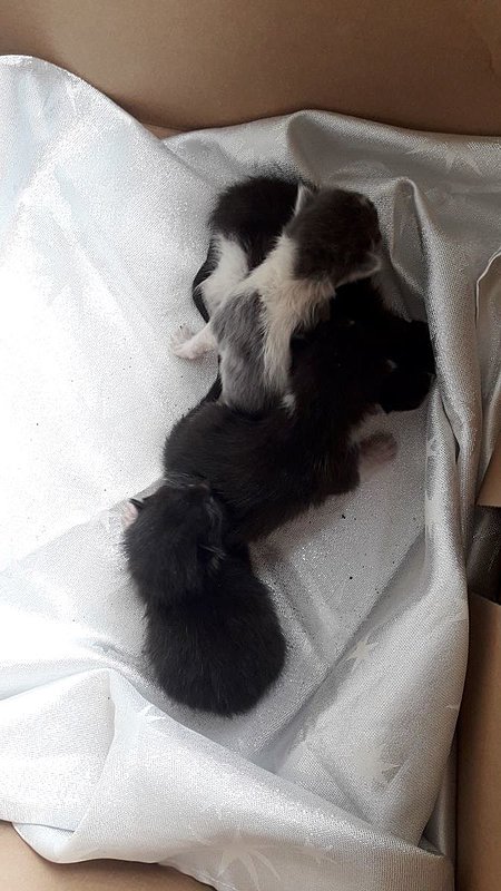 Натиснете снимката за да я уголемите

Име:м 2.jpg
Прегледи:313
Размер:130.7 КБ
ID:6741028