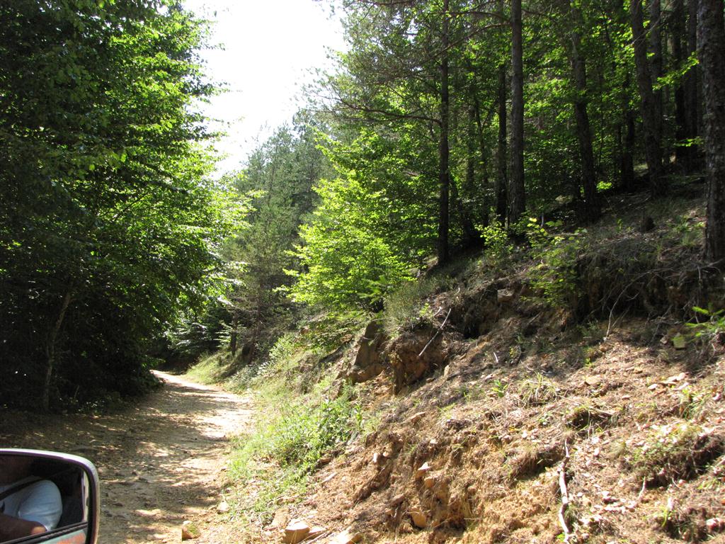 Натиснете снимката за да я уголемите

Име:IMG_4508 (Medium).JPG
Прегледи:2
Размер:231.3 КБ
ID:5295376