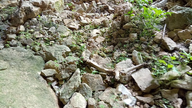 Натиснете снимката за да я уголемите

Име:Bones_20210522_115532.jpg
Прегледи:420
Размер:526.4 КБ
ID:6743255