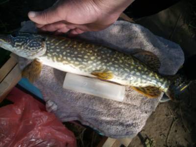 Натиснете снимката за да я уголемите

Име:013.jpg
Прегледи:190
Размер:17.4 КБ
ID:6743281