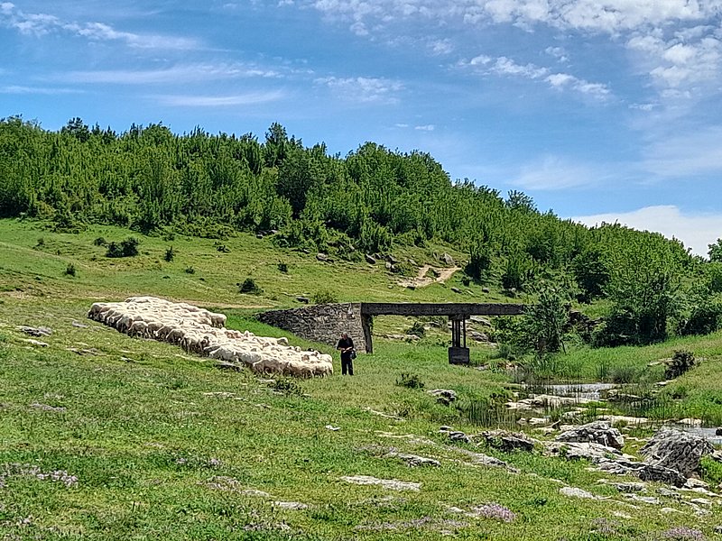 Натиснете снимката за да я уголемите

Име:sh-20210522_125549.jpg
Прегледи:406
Размер:713.0 КБ
ID:6743290