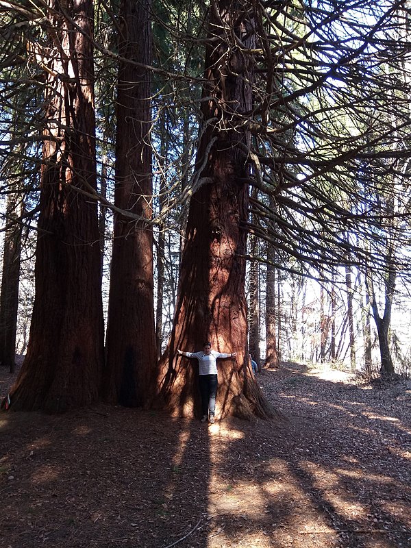 Натиснете снимката за да я уголемите

Име:IMG_20190317_123227.jpg
Прегледи:776
Размер:966.7 КБ
ID:6744616