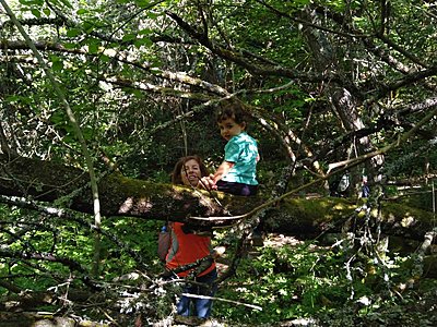Натиснете снимката за да я уголемите  Име:IMG-e4cf83784780a207551d12b5acf0aaa3-V.jpg Прегледи:0 Размер:216.3 КБ ID:6745113