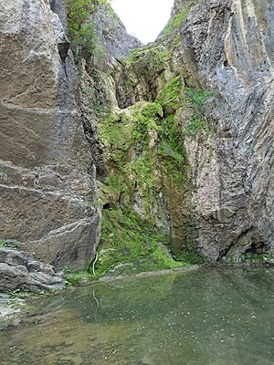 Натиснете снимката за да я уголемите  Име:IMG_20210529_172723.jpg Прегледи:0 Размер:947.3 КБ ID:6745116