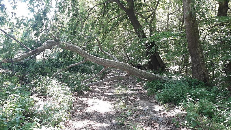 Натиснете снимката за да я уголемите

Име:20210603_115351.jpg
Прегледи:113
Размер:280.0 КБ
ID:6746029