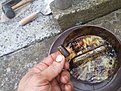 Натиснете снимката за да я уголемите

Име:20210618_190636.jpg
Прегледи:524
Размер:540.0 КБ
ID:6749706