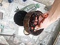 Натиснете снимката за да я уголемите

Име:20210618_183726.jpg
Прегледи:526
Размер:393.2 КБ
ID:6749710