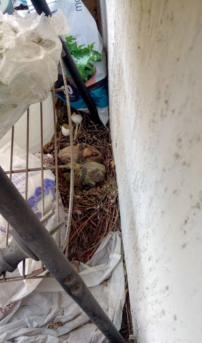 Натиснете снимката за да я уголемите

Име:Grozilki.png
Прегледи:200
Размер:274.1 КБ
ID:6750361