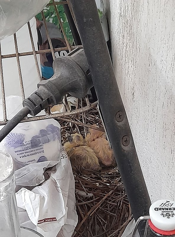 Натиснете снимката за да я уголемите

Име:Rastat.jpg
Прегледи:187
Размер:224.3 КБ
ID:6750362