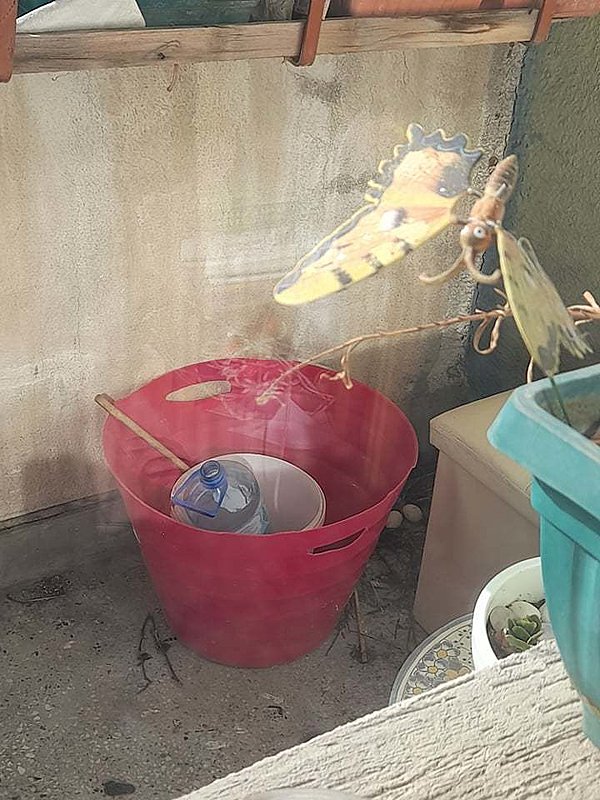 Натиснете снимката за да я уголемите

Име:New.jpg
Прегледи:194
Размер:81.3 КБ
ID:6750363