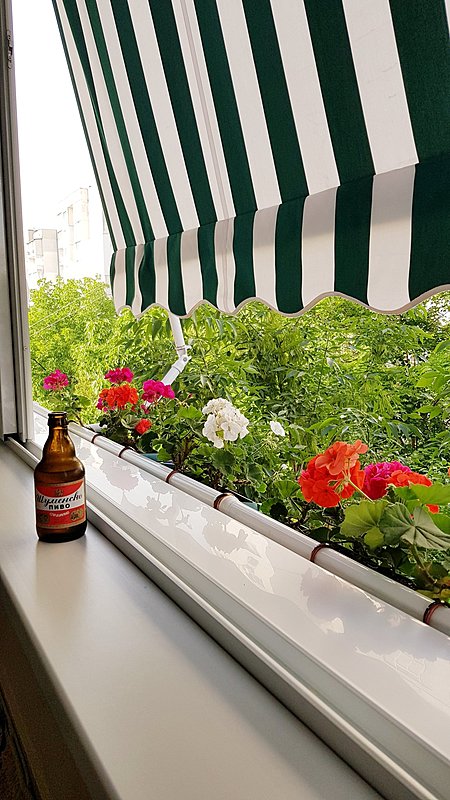 Натиснете снимката за да я уголемите

Име:20210622_192939.jpg
Прегледи:409
Размер:464.6 КБ
ID:6750640