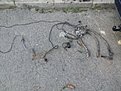 Натиснете снимката за да я уголемите

Име:20210628_201724.jpg
Прегледи:283
Размер:585.2 КБ
ID:6752166