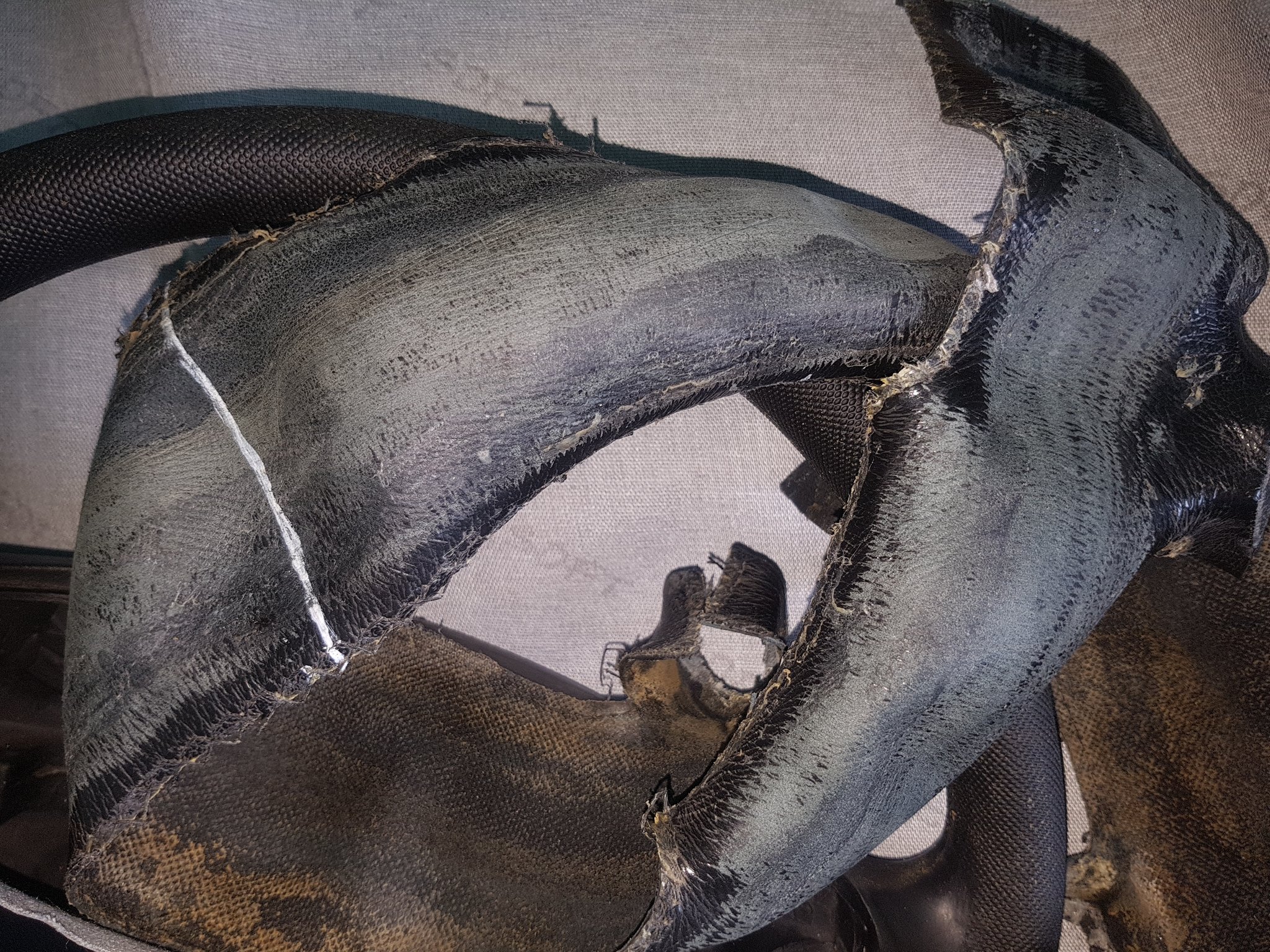 Натиснете снимката за да я уголемите

Име:20210702_152206.jpg
Прегледи:116
Размер:997.4 КБ
ID:6753179