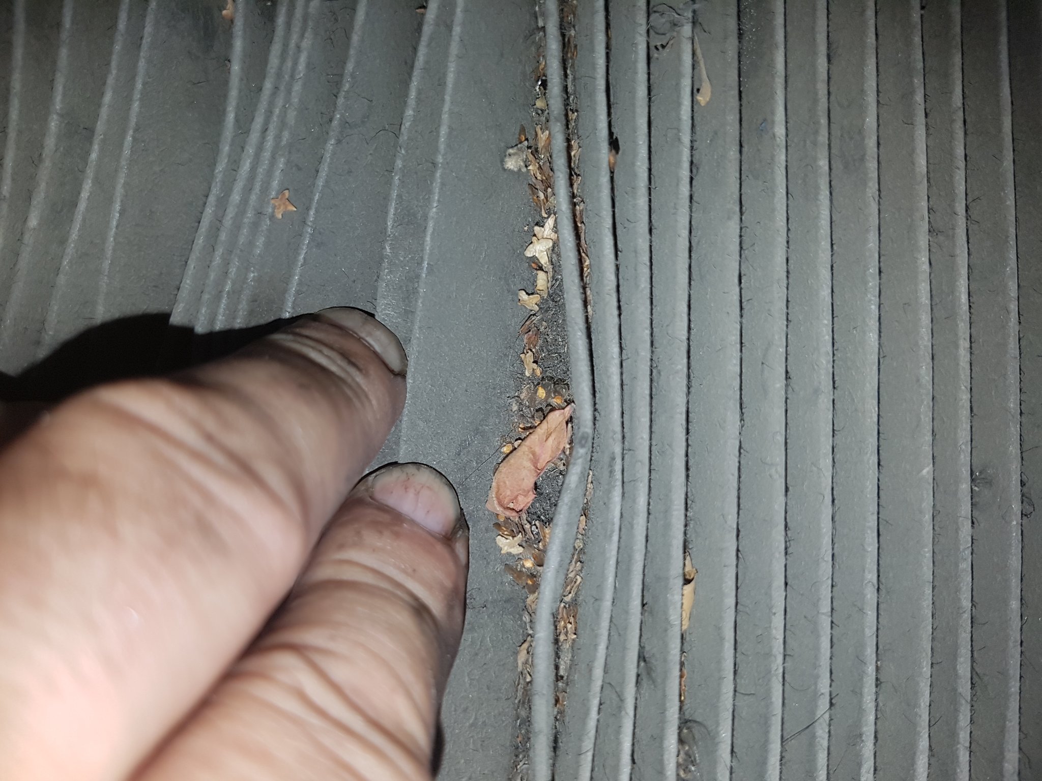 Натиснете снимката за да я уголемите

Име:20210719_133834.jpg
Прегледи:304
Размер:425.9 КБ
ID:6756945