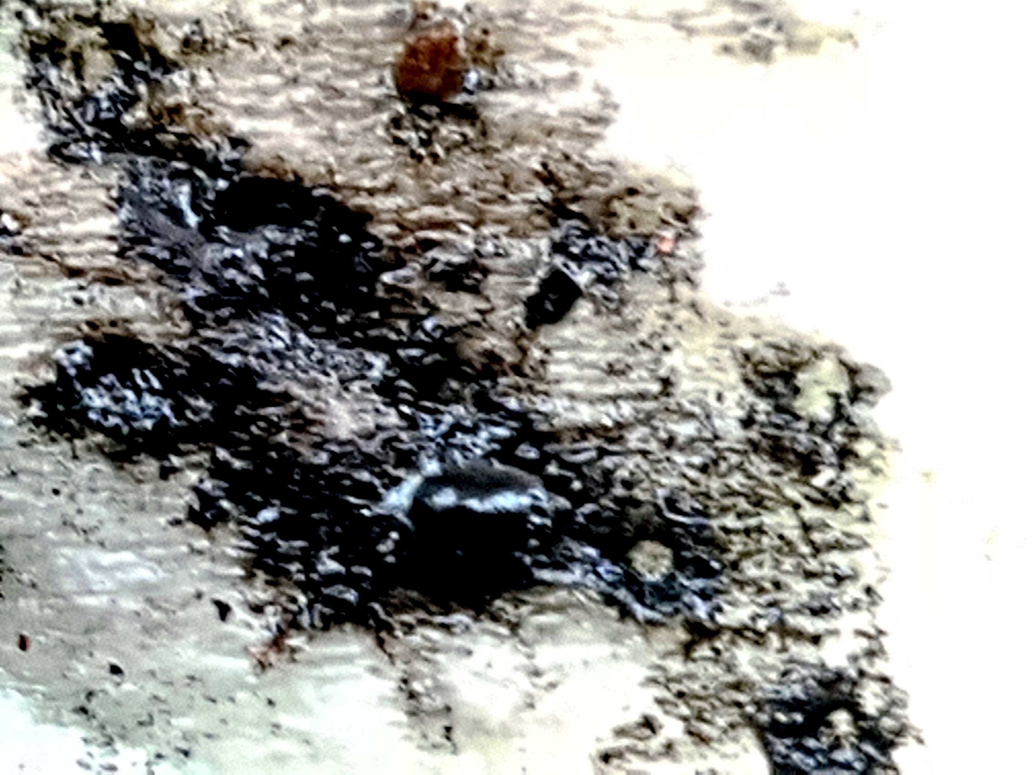 Натиснете снимката за да я уголемите

Име:20210719_174959.jpg
Прегледи:282
Размер:380.0 КБ
ID:6756968