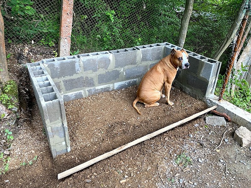 Натиснете снимката за да я уголемите

Име:IMG_4400.jpg
Прегледи:567
Размер:641.9 КБ
ID:6763507