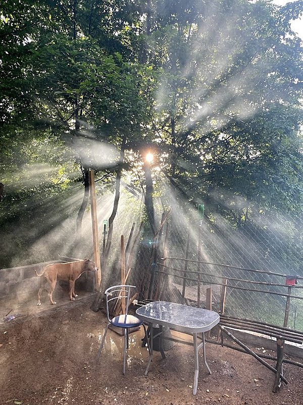 Натиснете снимката за да я уголемите

Име:IMG_4521.jpg
Прегледи:578
Размер:293.3 КБ
ID:6763511