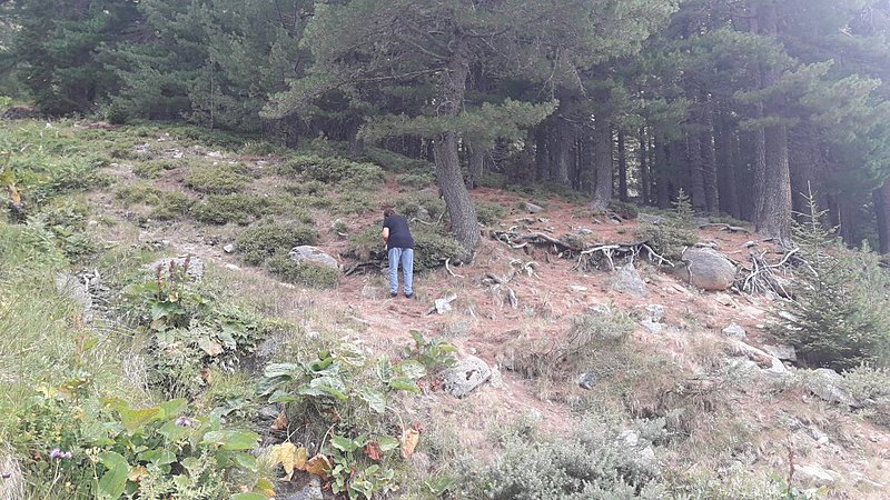 Натиснете снимката за да я уголемите

Име:2..jpg
Прегледи:389
Размер:225.1 КБ
ID:6764883