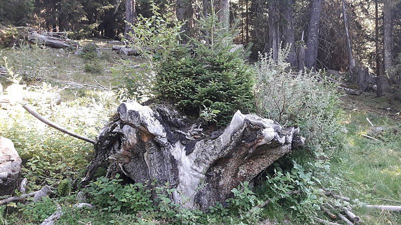 Натиснете снимката за да я уголемите

Име:2..jpg
Прегледи:374
Размер:258.1 КБ
ID:6764916