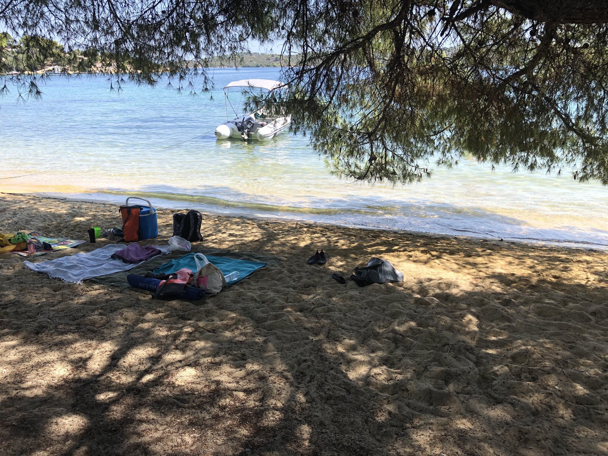 Натиснете снимката за да я уголемите

Име:41000973-DC73-4789-8D37-D78C5522A1A9.jpeg
Прегледи:638
Размер:1.04 МБ
ID:6765137