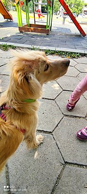 Натиснете снимката за да я уголемите

Име:IMG_20210818_125306.jpg
Прегледи:526
Размер:497.6 КБ
ID:6765526
