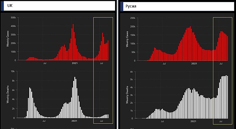 Натиснете снимката за да я уголемите

Име:VaccineEffect21.jpg
Прегледи:267
Размер:103.2 КБ
ID:6766692