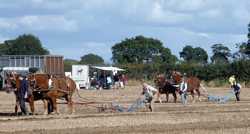 Натиснете снимката за да я уголемите  Име:P1200520.JPG Прегледи:0 Размер:177.0 КБ ID:6768351