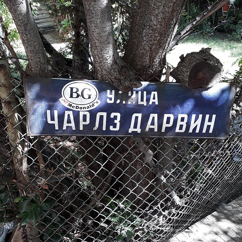 Натиснете снимката за да я уголемите

Име:20210920_135319.jpg
Прегледи:235
Размер:1.24 МБ
ID:6772600
