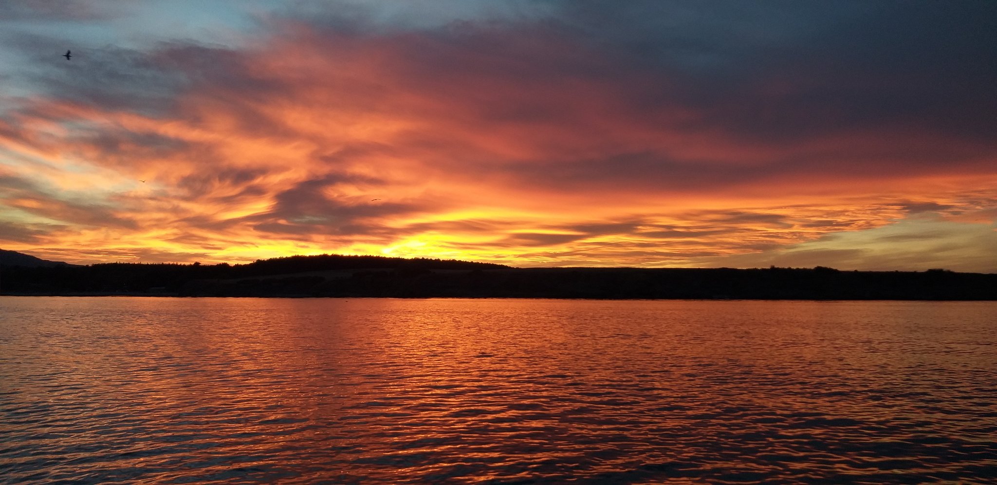 Натиснете снимката за да я уголемите

Име:20210924_191203.jpg
Прегледи:83
Размер:315.5 КБ
ID:6774126