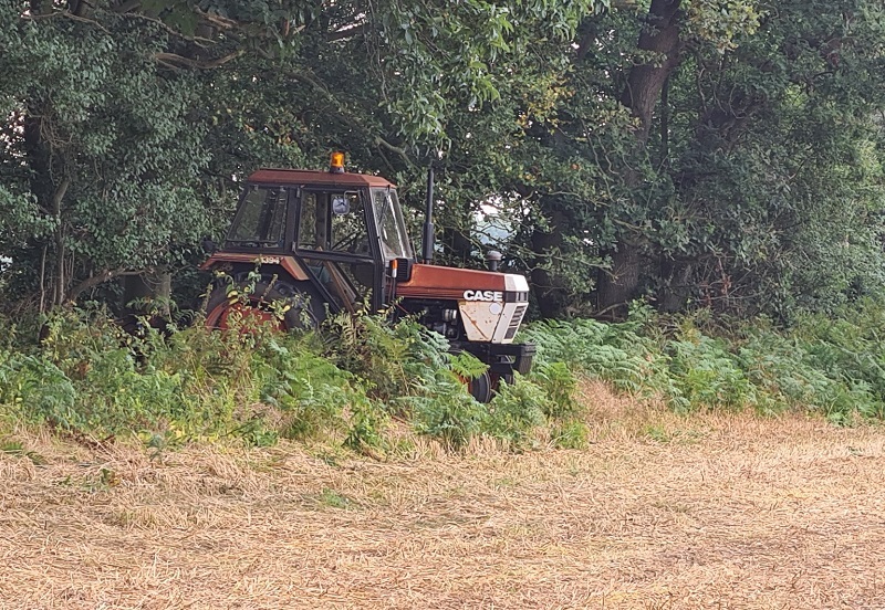 Натиснете снимката за да я уголемите

Име:20210926_102815.jpg
Прегледи:656
Размер:283.3 КБ
ID:6774551