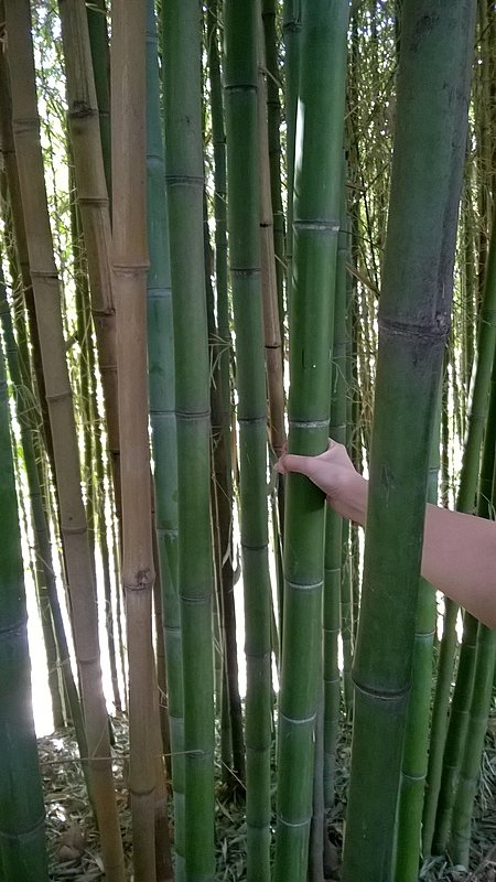 Натиснете снимката за да я уголемите

Име:WP_20170321_002.jpg
Прегледи:254
Размер:437.9 КБ
ID:6781406