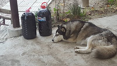 Натиснете снимката за да я уголемите

Име:64D0F817-CF69-4DB3-BC95-3476B660135F.jpeg
Прегледи:503
Размер:339.3 КБ
ID:6785960