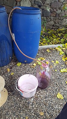 Натиснете снимката за да я уголемите

Име:9FB703E8-9296-487E-988F-2A9223E9CA45.jpeg
Прегледи:501
Размер:334.2 КБ
ID:6785963