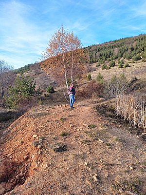 Натиснете снимката за да я уголемите  Име:IMG_20211113_155315.jpg Прегледи:4 Размер:1.16 МБ ID:6791080