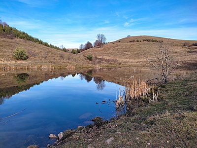 Натиснете снимката за да я уголемите  Име:IMG_20211113_155325.jpg Прегледи:4 Размер:721.7 КБ ID:6791090