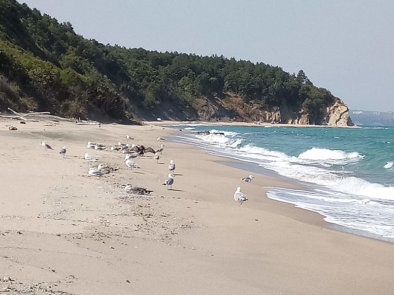 Натиснете снимката за да я уголемите

Име:IMG_20190815_152708.jpg
Прегледи:292
Размер:362.3 КБ
ID:6791526