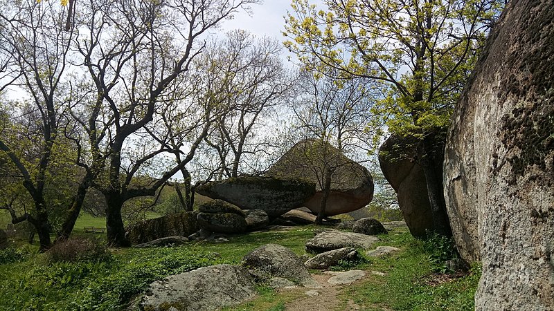 Натиснете снимката за да я уголемите

Име:IMG_20190421_121920.jpg
Прегледи:272
Размер:941.1 КБ
ID:6794262