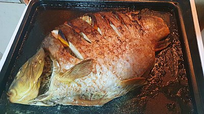 Натиснете снимката за да я уголемите

Име:20211206_220252.jpg
Прегледи:102
Размер:538.3 КБ
ID:6797563