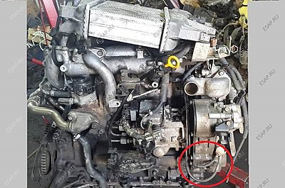 Натиснете снимката за да я уголемите

Име:dvigatel-nissan-patrol-y61-zd30-30di-terrano-god-01_1439703035_1_180933_t4.jpg
Прегледи:362
Размер:104.7 КБ
ID:6801421