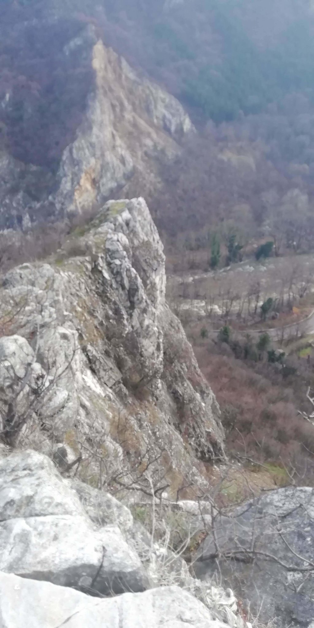 Натиснете снимката за да я уголемите

Име:IMG_20211228_121620.jpg
Прегледи:495
Размер:259.9 КБ
ID:6806998